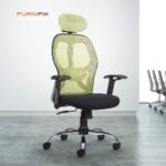 Buy Furnifix Stylish Executive Work Chair (Pistachio Green) | Furnifix