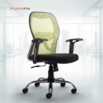 Buy Furnifix Stylish Executive Work Chair (Pistachio Green) Medium Back | Furnifix