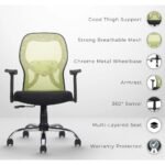 Buy Furnifix Stylish Executive Work Chair (Pistachio Green) Medium Back | Furnifix