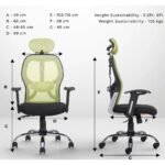 Buy Furnifix Stylish Executive Work Chair (Pistachio Green) | Furnifix