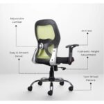 Buy Furnifix Stylish Executive Work Chair (Pistachio Green) Medium Back | Furnifix