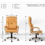 Furnifix Paladin Elite Boss Chair (Beige) | Furnifix