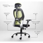Buy Furnifix Stylish Executive Work Chair (Pistachio Green) | Furnifix
