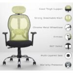 Buy Furnifix Stylish Executive Work Chair (Pistachio Green) | Furnifix