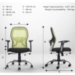 Buy Furnifix Stylish Executive Work Chair (Pistachio Green) Medium Back | Furnifix