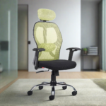 Buy Furnifix Stylish Executive Work Chair (Pistachio Green) | Furnifix