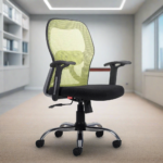 Buy Furnifix Stylish Executive Work Chair (Pistachio Green) Medium Back | Furnifix