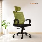 Buy Furnifix Executive Comfort Chair (Pistacho Green) - Furnifix