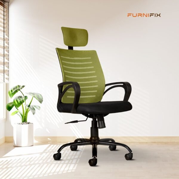 Buy Furnifix Executive Comfort Chair (Pistacho Green) - Furnifix