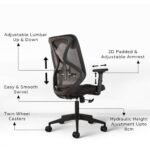 Buy Furnifix Elite Executive Office Chair (Black) - Furnifix
