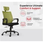 Buy Furnifix Executive Comfort Chair (Pistacho Green) - Furnifix