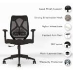 Buy Furnifix Elite Executive Office Chair (Black) - Furnifix