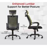 Buy Furnifix Executive Comfort Chair (Pistacho Green) - Furnifix