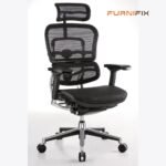 Buy Furnifix Luxury Office Chair Elegant Ultra (Black) - Furnifix