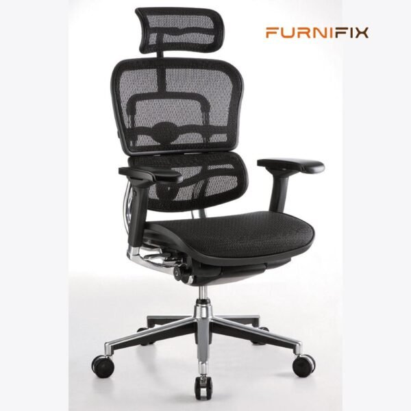 Buy Furnifix Luxury Office Chair Elegant Ultra (Black) - Furnifix