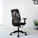 Buy Furnifix Elite Executive Office Chair (Black) - Furnifix