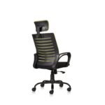 Buy Furnifix Executive Comfort Chair (Pistacho Green) - Furnifix