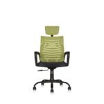 Buy Furnifix Executive Comfort Chair (Pistacho Green) - Furnifix