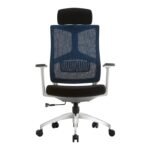 Buy Furnifix Creative Luxury Office Chair (Blue) - Furnifix