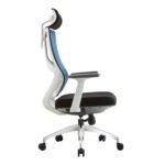 Buy Furnifix Creative Luxury Office Chair (Blue) - Furnifix