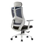 Buy Furnifix Creative Luxury Office Chair (Blue) - Furnifix
