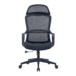 Buy Furnifix Opulent Luxury Office Chair (Black) - Furnifix