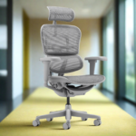 Buy Furnifix Luxury Office Chair Elegant Ultra (Grey) - Furnifix