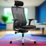 Buy Furnifix Luxury Office Chair Majestic Cushion (Black) - Furnifix