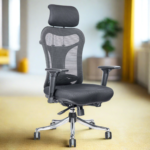 Buy Furnifix Luxury Office Chair Aristocratic Lite (Black) - Furnifix