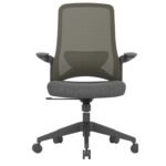 Buy Furnifix Luxury Office Chair Pristine P1 (Black) - Furnifix