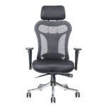 Buy Furnifix Luxury Office Chair Aristocratic Lite (Black) - Furnifix