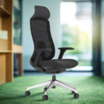 Buy Furnifix Luxury Office Chair High-Back (Black) - Furnifix