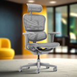 Buy Furnifix Luxury Office Chair Elegant Ultra (Grey) - Furnifix