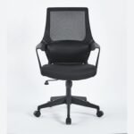 Buy Furnifix Luxury Office Chair Elegant E1 (Black) - Furnifix