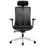 Buy Furnifix Luxury Office Chair Majestic Cushion (Black) - Furnifix