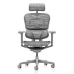 Buy Furnifix Luxury Office Chair Elegant Ultra (Grey) - Furnifix
