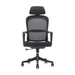 Buy Furnifix Luxury Office Chair Elegance (Black) - Furnifix