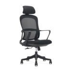 Buy Furnifix Luxury Office Chair Elegance (Black) - Furnifix