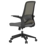 Buy Furnifix Luxury Office Chair Pristine P1 (Black) - Furnifix