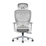 Buy Furnifix Luxury Office Chair Rich Q1 - Furnifix