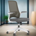 Buy Furnifix Luxury Office Chair Pristine P1 (Grey) - Furnifix