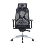 Buy Furnifix Luxury Office Chair High Prestige (Black) - Furnifix