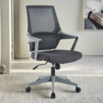 Buy Furnifix Luxury Office Chair Elegant E1 (Grey) - Furnifix