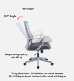 Buy Furnifix Luxury Office Chair Elite EL4 - Furnifix