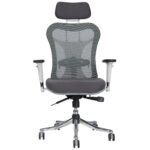 Buy Furnifix Luxury Office Chair Aristocratic Lite (Grey) - Furnifix