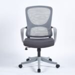 Buy Furnifix Luxury Office Chair Elite EL4 - Furnifix