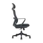 Buy Furnifix Luxury Office Chair Elegance (Black) - Furnifix