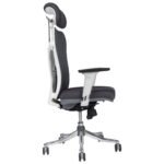 Buy Furnifix Luxury Office Chair Aristocratic Lite (Grey) - Furnifix