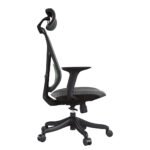 Buy Furnifix Luxury Office Chair Elegant 121 (Black) - Furnifix