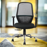 Buy Furnifix Luxury Office Chair Noble N1 (Black) - Furnifix